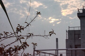 Beauty Of The Sky with Cloud