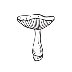 Hand drawn vector mushroom. Outline black vector forest element