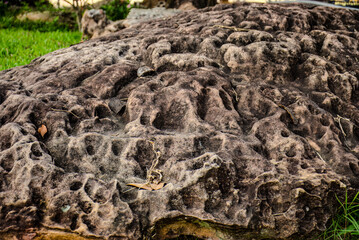 Close-up of Rough Stone Texture.