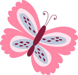 Hand drawn butterfly
