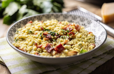 Italian risotto with pancetta, parmesan and parsley on a stylish plate