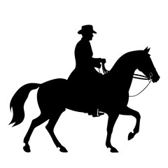 vector silhouette of a man riding on horse