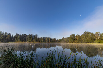 Poranna mgła na Karpnickich Stawach .Jest to region Kotliny Jeleniogórskiej bezpośrednio...