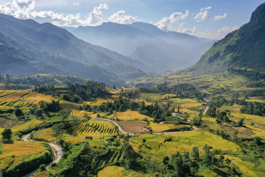 Admire the beautiful terraced fields in Y Ty commune, Bat Xat district, Lao Cai province northwest Vietnam on the day of ripe rice harvest. Rural landscape of Vietnam
