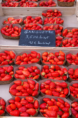 Baskets with french sweet organic red ripe strawberries Fraises, harvested in France, type Gariguette