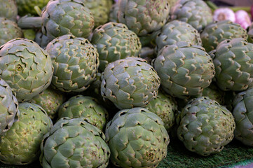Fototapeta premium Fresh ripe green organic artichokes heads on local farmers market in Dordogne, France
