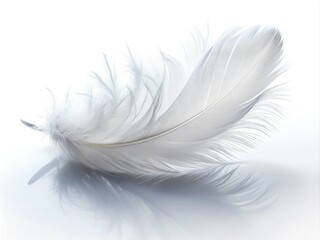 Obraz premium Isolated White Feather on Pure White Background for Long Exposure Photography Effect