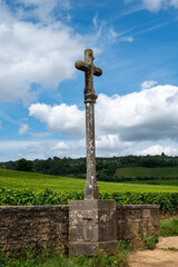 Green grand cru and premier cru vineyards with cross and rows of pinot noir grapes plants in Cote de nuits, making of famous red and white Burgundy wine in Burgundy region, Vosne-Romanee village