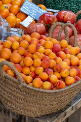 New harvest of fresh ripe sweet yellow-red apricots fruits in Provence, France