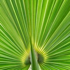 Fototapeta premium The beautiful green palm leaf pattern forms a symmetrical natural design. generative ai