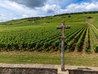Green grand cru and premier cru vineyards with cross and rows of pinot noir grapes plants in Cote...