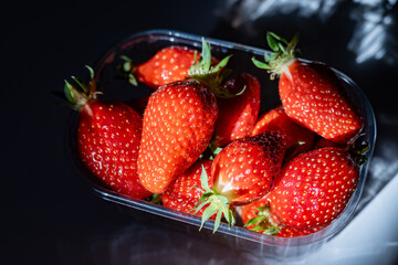 Plate with french organic red ripe sweet strawberries Fraises de Plougastel, harvested in France