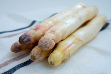 Fresh raw white asparagus vegetables large size, ripe and tasty
