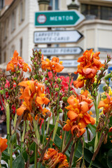 Walking in Monte-Carlo city in Monaco principality, houses and streets, touristic destination on Mediterranean Sea in summer