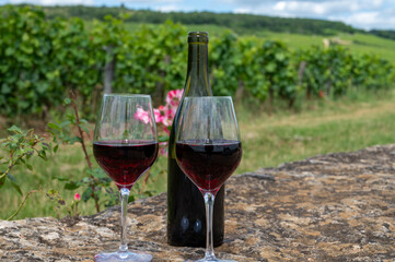 Tasting of red pinot noir wine on grand cru vineyards with cross and stone walls in Cote de nuits, making of famous red and white Burgundy wine in Burgundy region, Vosne-Romanee village