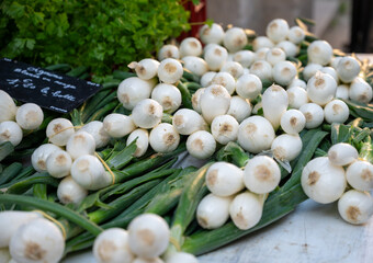 Bunches of fresh young heads of white garlic and onion on local farmers market in Dordogne, France, close up