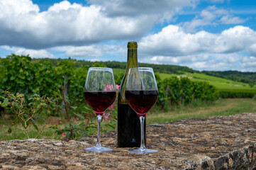 Tasting of red pinot noir wine on grand cru vineyards with cross and stone walls in Cote de nuits, making of famous red and white Burgundy wine in Burgundy region, Vosne-Romanee village
