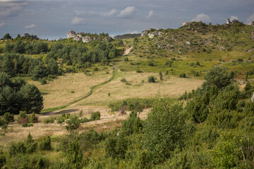 Skały. Jura Krakowsko-Częstochowska. Skały Olsztyńskie. Rezerwat Sokole Góry