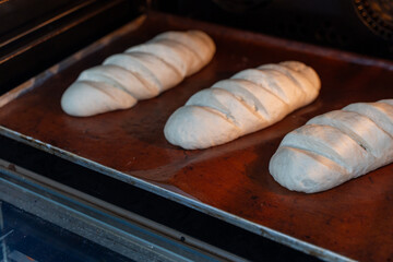 Making bread. Formed loaves in the oven on the oven.
