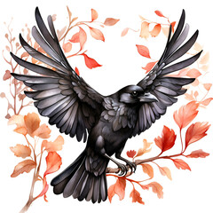 Waterclor Arafed bird with spread wings and a black beak, Transparent background.