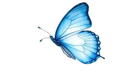 Blue butterfly on isolated white background, watercolor illustration, hand drawing, painting AI Generate