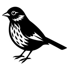 Fototapeta premium bird on a branch