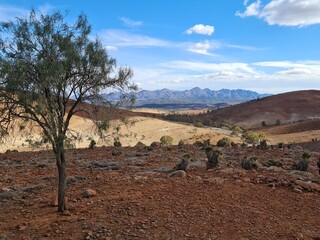 Naklejka premium Tree and mountains
