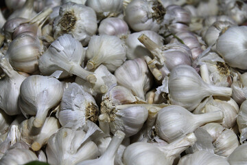 Pile of garlic at the market. Garlic background.