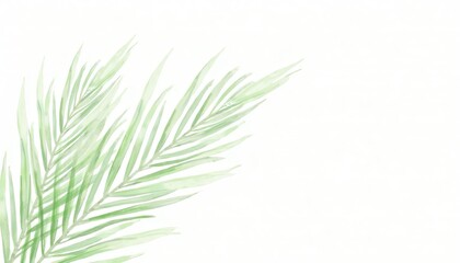 Fototapeta premium Tropical palm leaves set on white background, watercolor hand-painted, summer clipart AI Generate