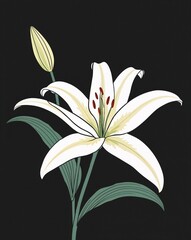 A serene lily illustration radiating tranquility on plain black background