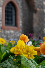 flower bed infront of old historic stone building 
