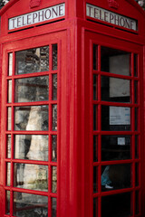 Obraz premium british red traditional london tourist telephone call box