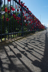poppy fence along path next to sea summer