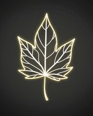 Luminous line art of a leaf glowing on plain black background