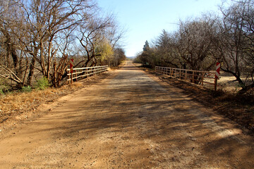 Fototapeta premium Landscape photo of trees and nature in the Vredefort Dome area of the Free State. 
