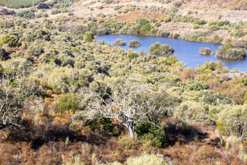 Vale do Guadiana