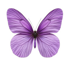 Obraz premium A detailed image of a vibrant purple butterfly with intricately textured wings, isolated on a white background, showcasing its beauty and elegance.