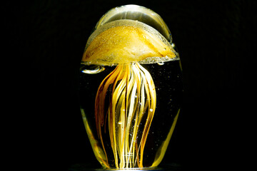 Qualle Nat&uuml;rlich