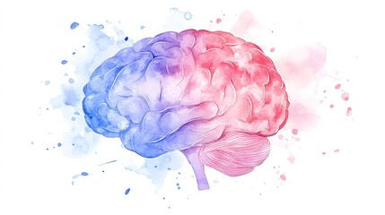 Minimalist watercolor brain art, pastel tones, isolated on white background.