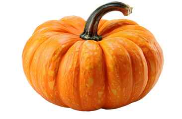 pumpkin isolated NO background