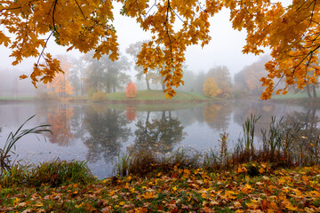 Morning autumn fog in Alexander park in Tsarskoe Selo (Pushkin), St. Petersburg, Russia