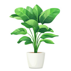 Lush green houseplant in a white pot, perfect for indoor decoration and adding a touch of nature.