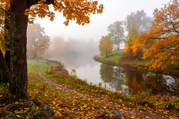 Morning autumn fog in Alexander park in Tsarskoe Selo (Pushkin), St. Petersburg, Russia