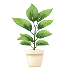 Lush green plant in a decorative pot, isolated on a white background.
