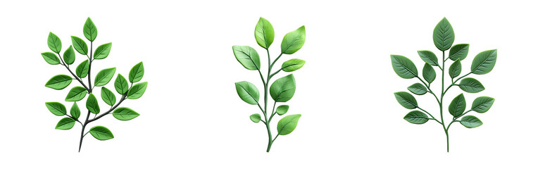 Obraz premium Isolated Green Leaves on Transparent Background