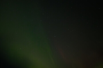 A peaceful display of the Aurora Borealis casts soft green light across the starry night sky. The gentle glow blends into the dark background, creating a serene and ethereal atmosphere.