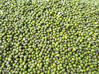 Mung beans. Dried mung beans or green beans background. Vegetarian food rich in protein. Healthy food concept.