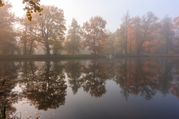 Morning autumn fog in Alexander park in Tsarskoe Selo (Pushkin), St. Petersburg, Russia
