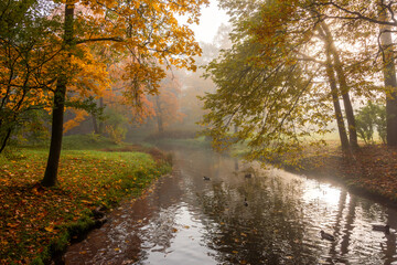 Morning autumn fog in Alexander park in Tsarskoe Selo (Pushkin), St. Petersburg, Russia