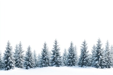 Fototapeta premium Tranquil Snow-Covered Landscape in Soft Focus